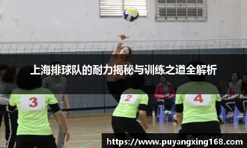 上海排球队的耐力揭秘与训练之道全解析